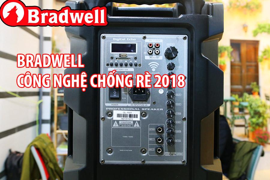 Loa kéo karaoke bradwell BR2