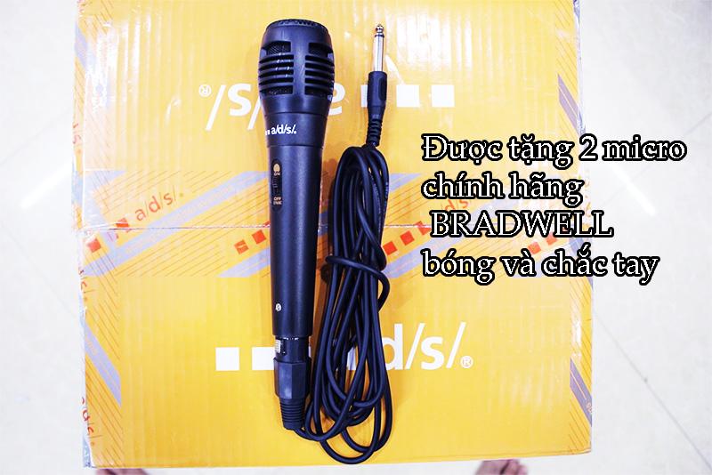 Loa di động Bradwell 112