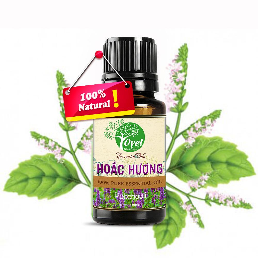Tinh Dầu Hoắc Hương Ấn Độ 10ml