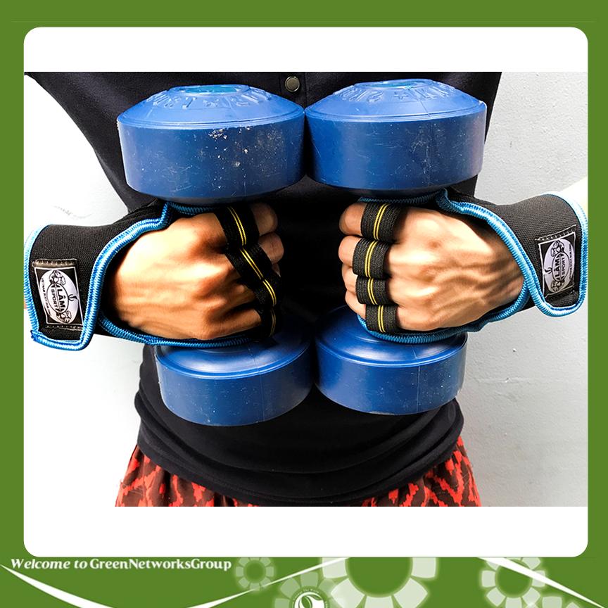Tập Tạ Thể Hình