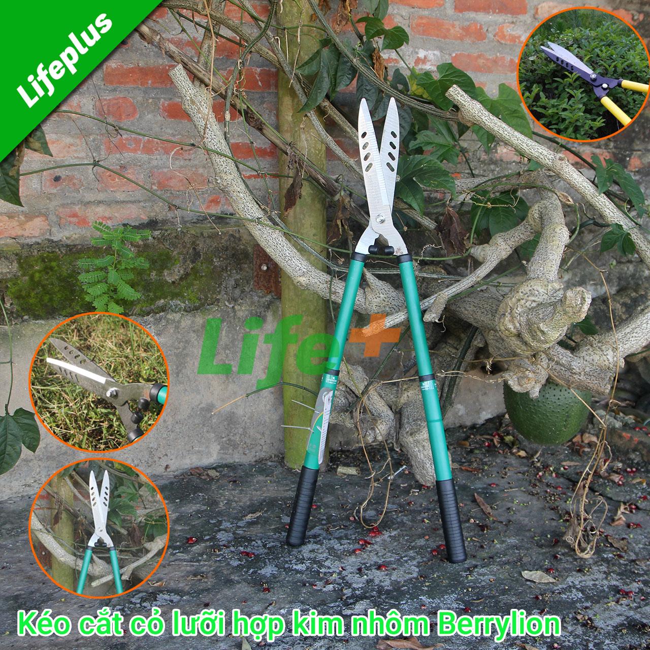 KÉO CẮT CỎ BERRYLION 1613