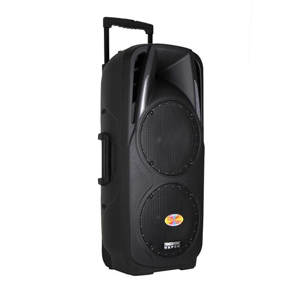 Loa kéo bluetooth Temeisheng A73