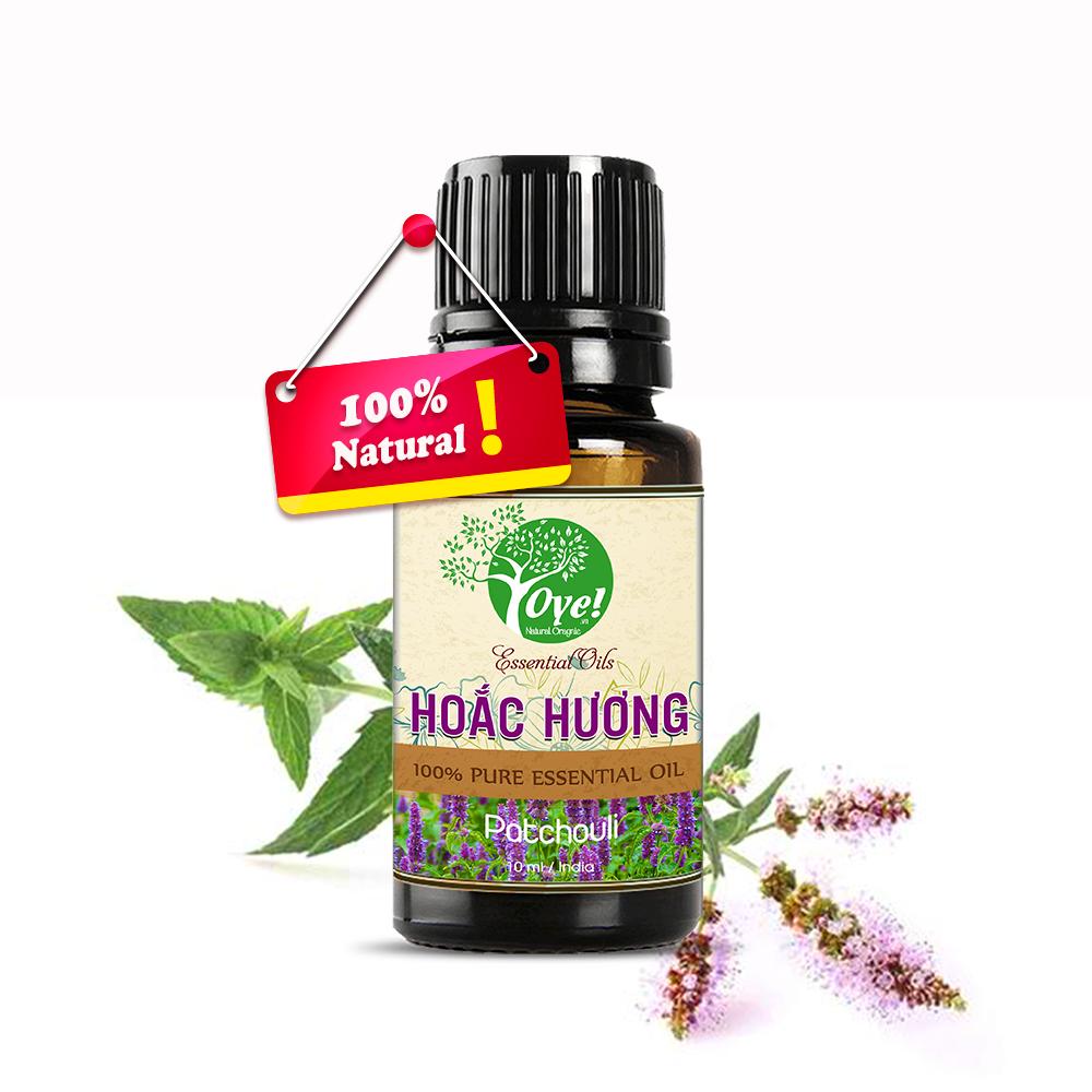 Tinh Dầu Hoắc Hương Ấn Độ 10ml