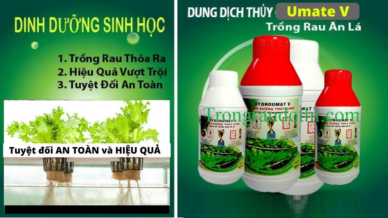 Bộ 2 Chai Dung Dịch Dinh Dưỡng Thủy Canh Cho Rau Ăn Lá Hydro Umat V  -KLT 1 Lít .