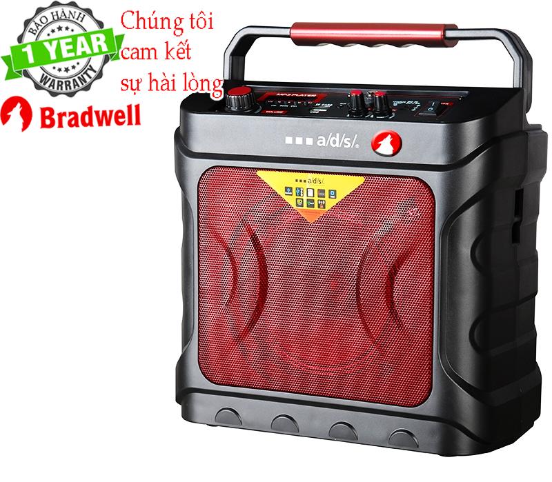 Loa di động Bradwell 112