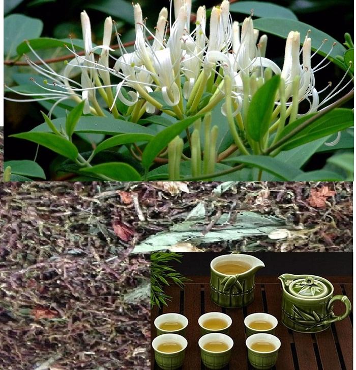 Trà sơn mật hồng sâm 1kg