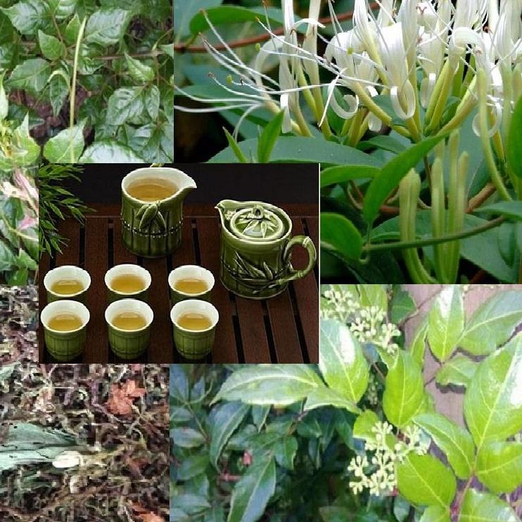 Trà sơn mật hồng sâm 1kg