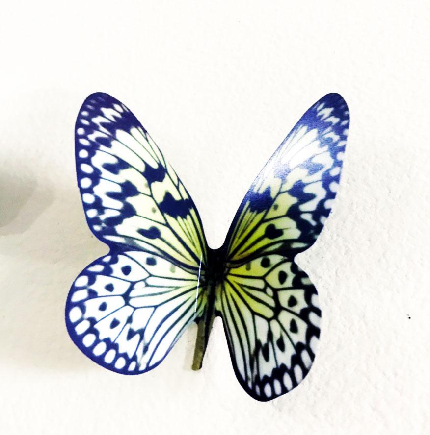 Decal trang trí 3D