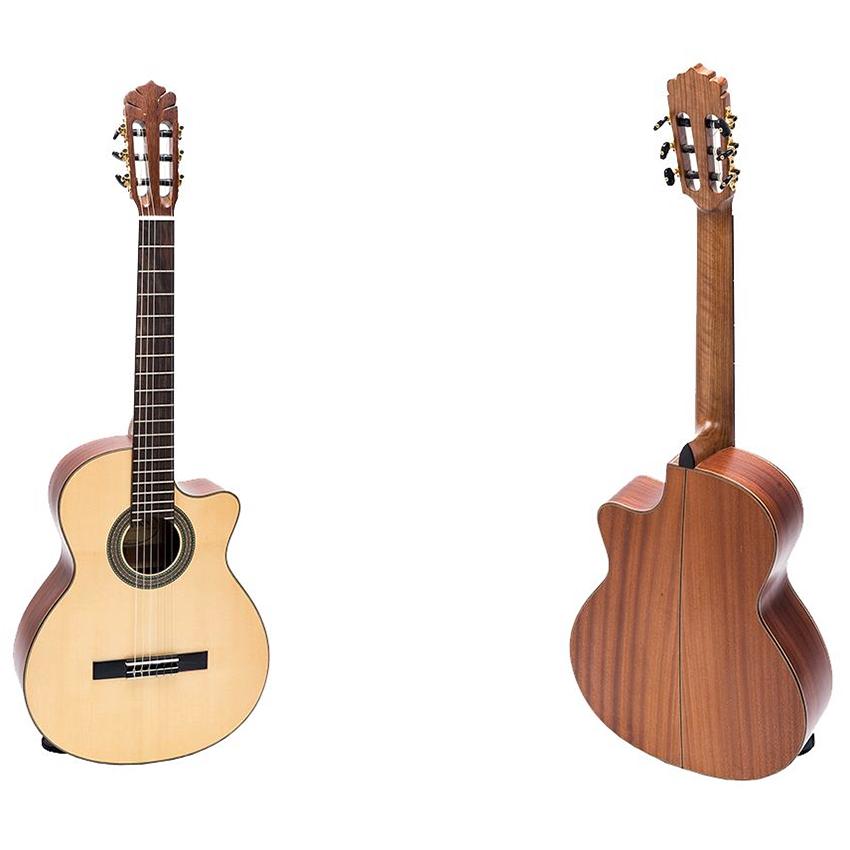 Đàn guitar DC350