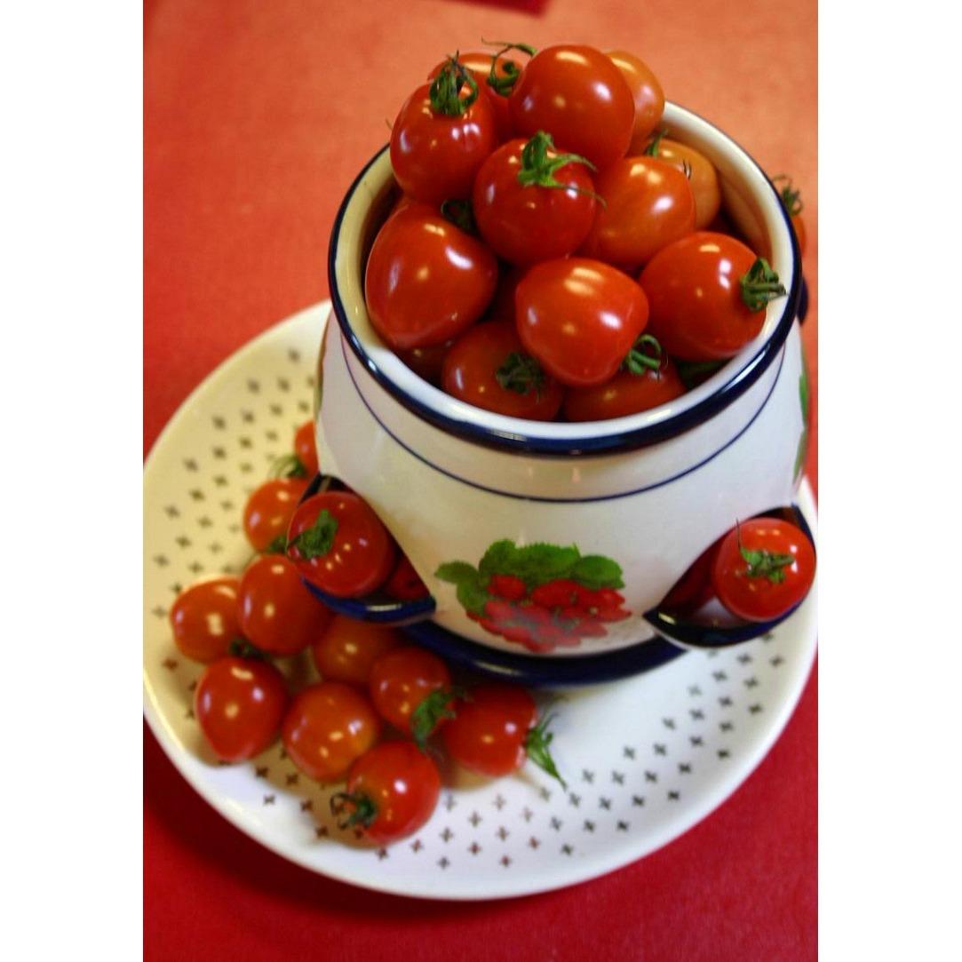 Hạt giống Cà Chua bi (Cherry) tròn lùn vàng