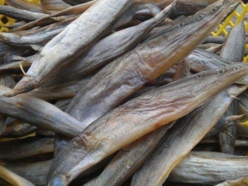 Khô cá chạch 1kg