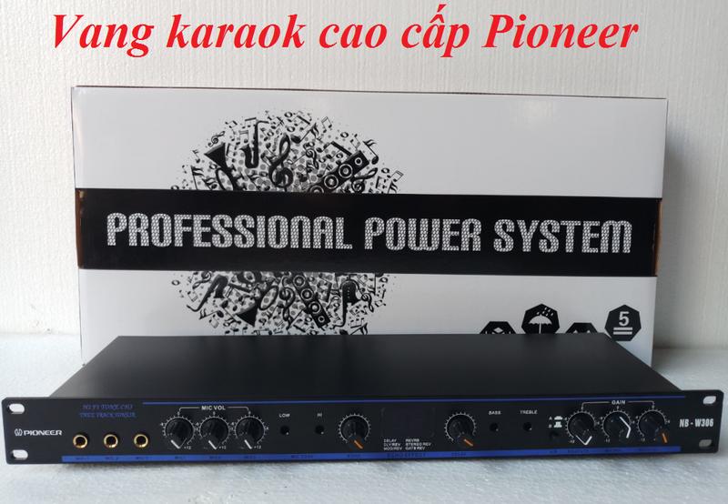 Vang Mixer Karaoke Pioneer NB-W306