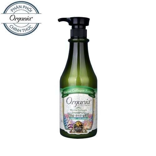 Dầu Gội Chống Rụng Organia Marine Collagen Shampoo
