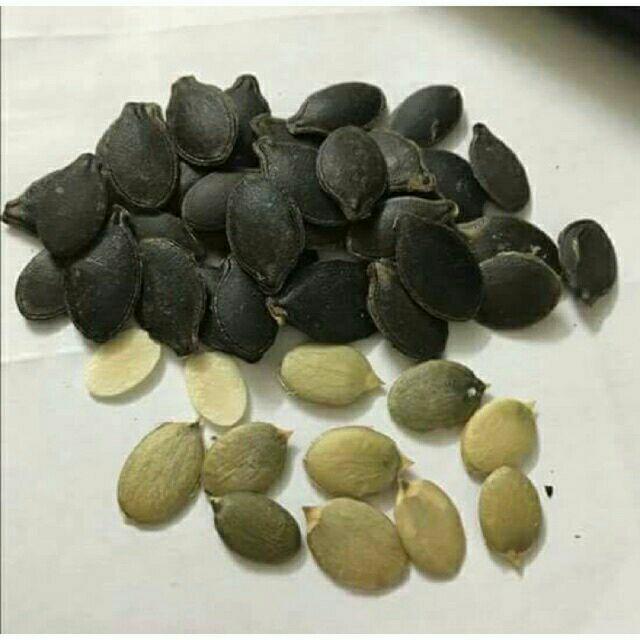Hạt bí đen bầu nhung