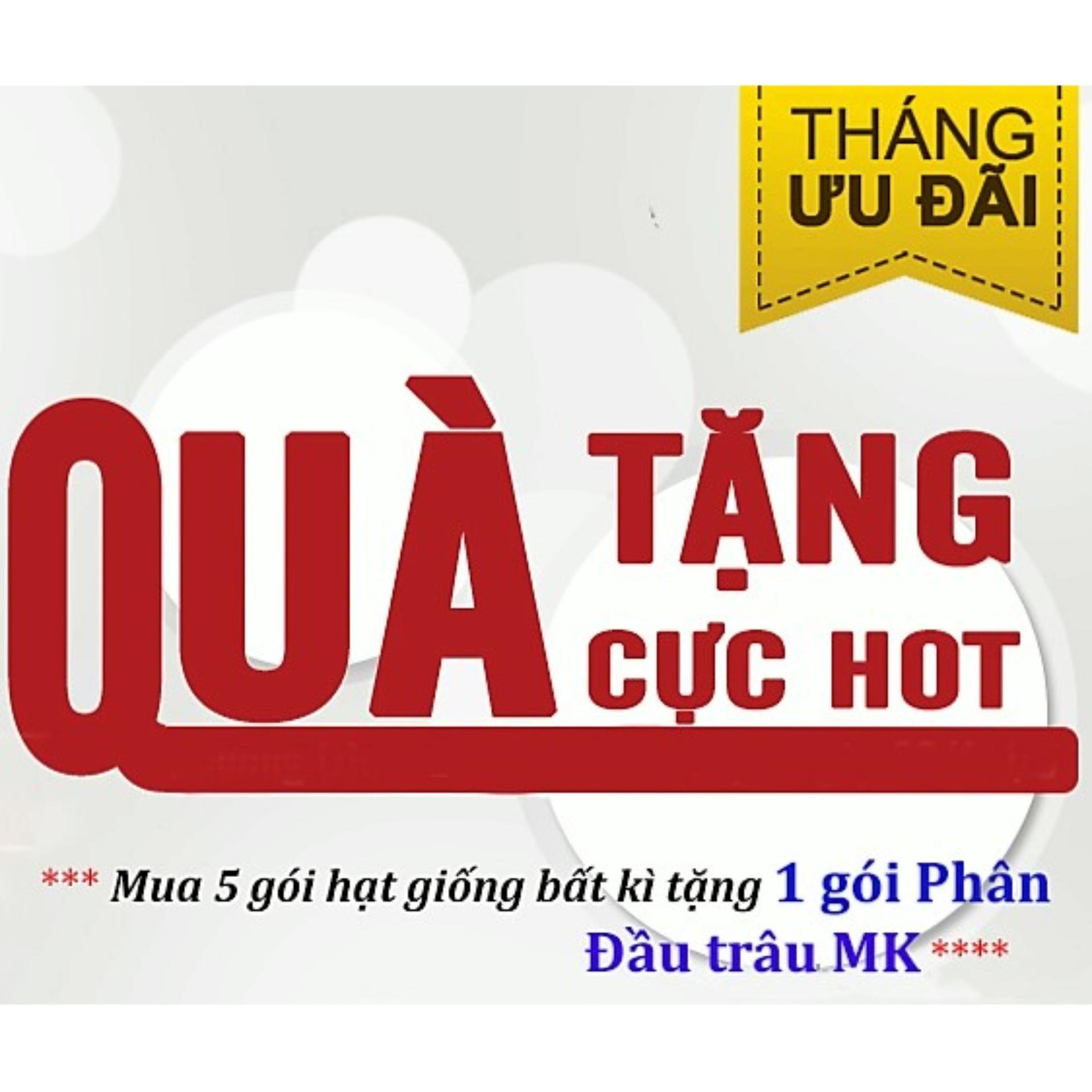 Hạt Giống Dưa Chuột bao tử