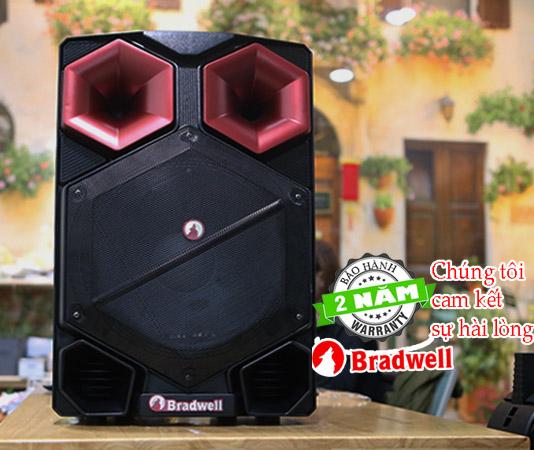 Loa kéo karaoke bradwell BR2