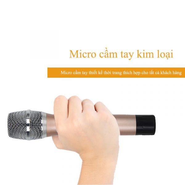 Micro Không Dây Seplo SE-X500