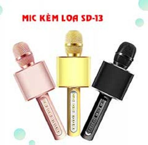 MIC Karaoke SD13