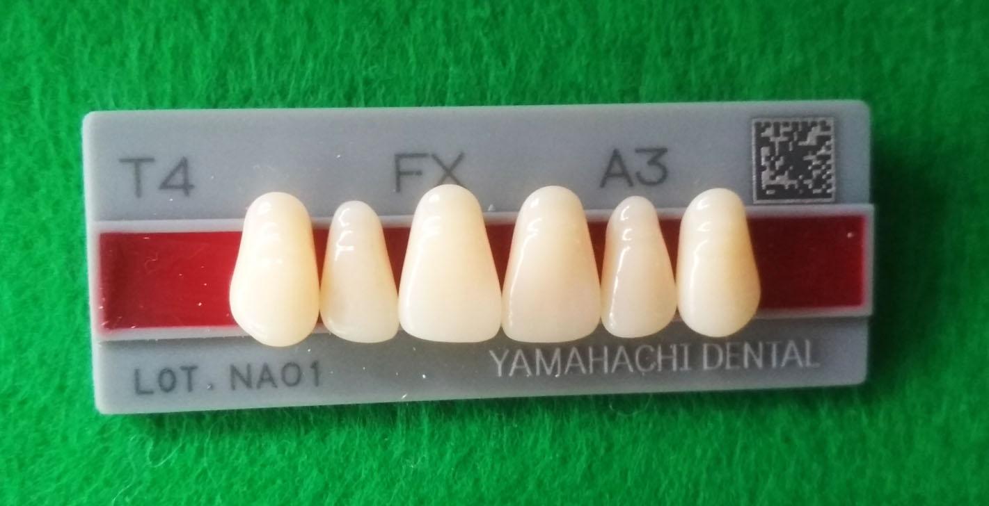 Răng nhựa nha khoa 6 cái