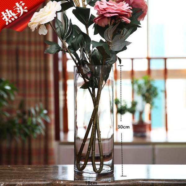 Tall Glass Vase
