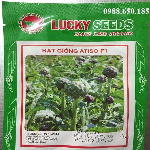 Bộ gói hạt giống Atiso xanh