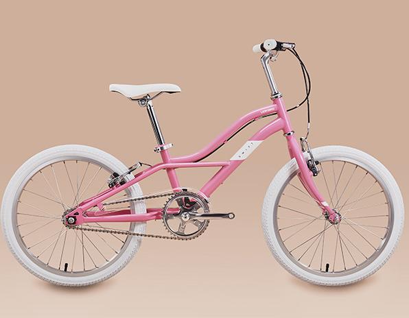 Xe đạp trẻ em Lion Bird 20 inch