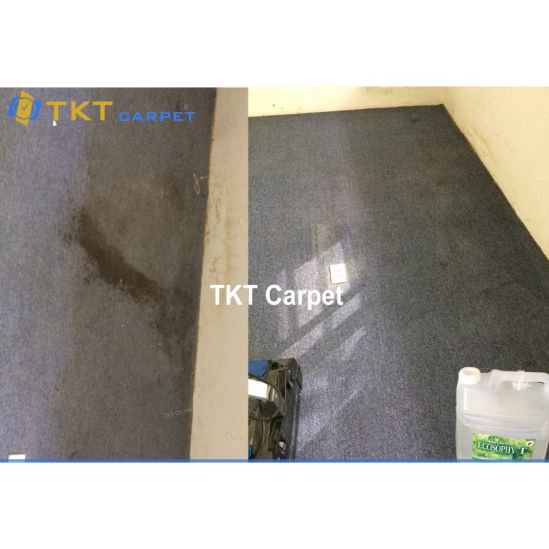 Hóa chất giặt thảm Ecosophy 5L