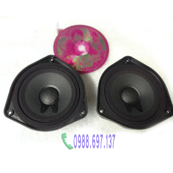 LOA BOSE 101