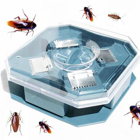 Dụng cụ bắt gián