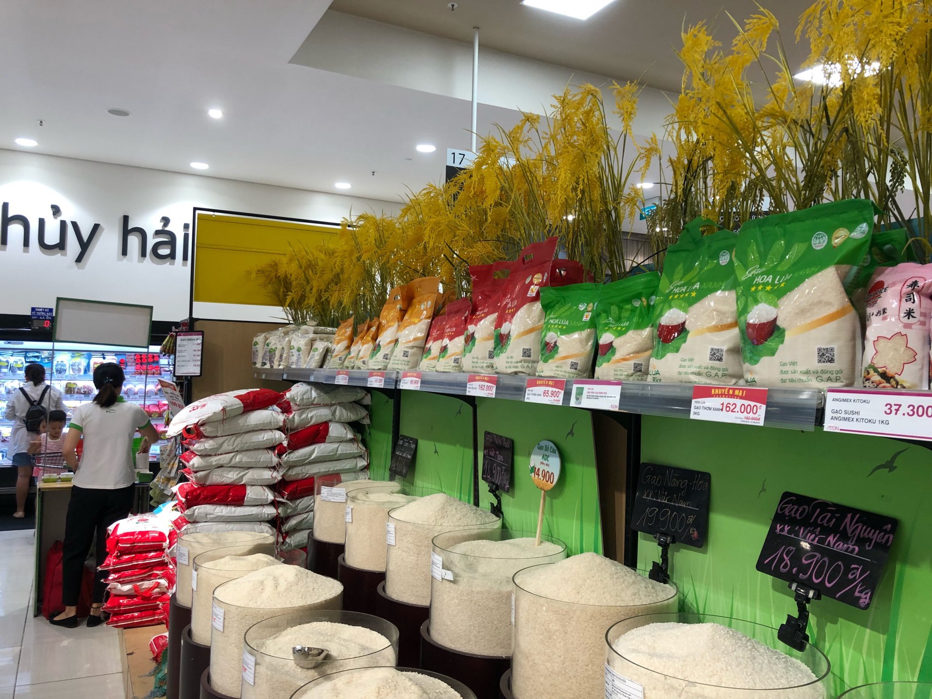 Gạo Sữa Hoa Lúa 5Kg