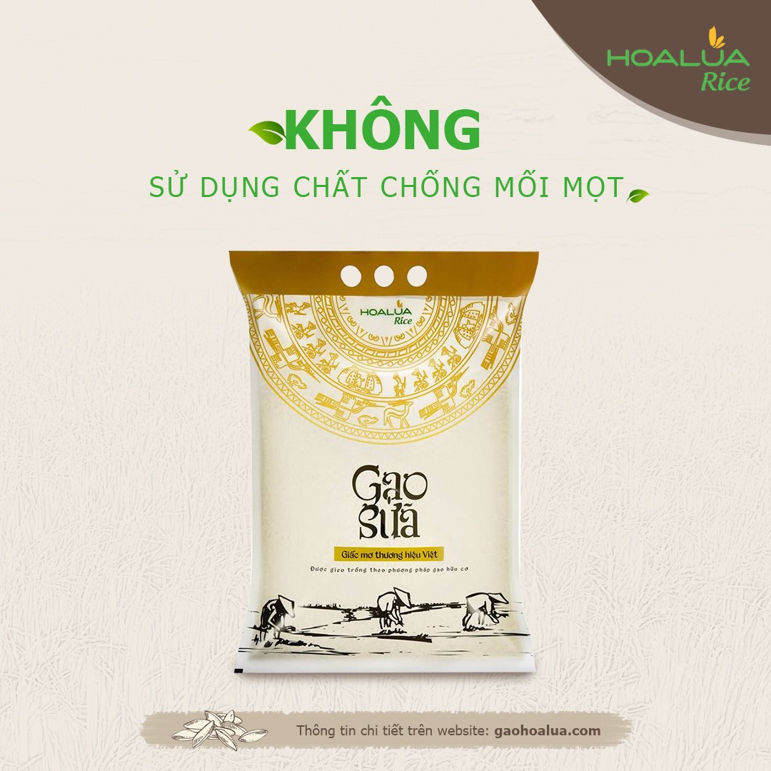 Gạo Sữa Hoa Lúa 5Kg