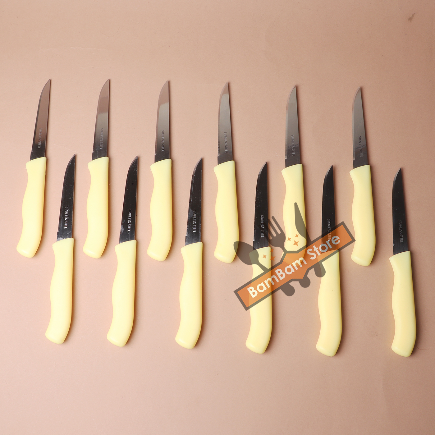 BỘ 12 DAO CẮT GỌT VỎ TRÁI CÂY INOX DA01