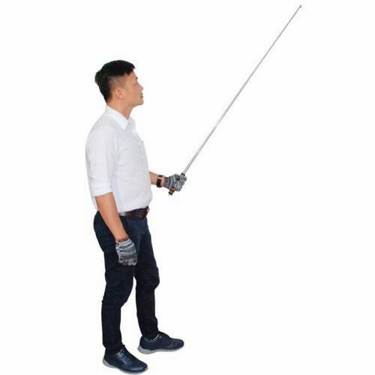 Cây kiểm bộp tường TCVN HT1279