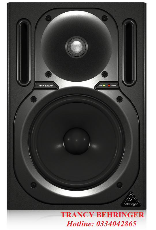 LOA KIỂM ÂM BEHRINGER B2030A