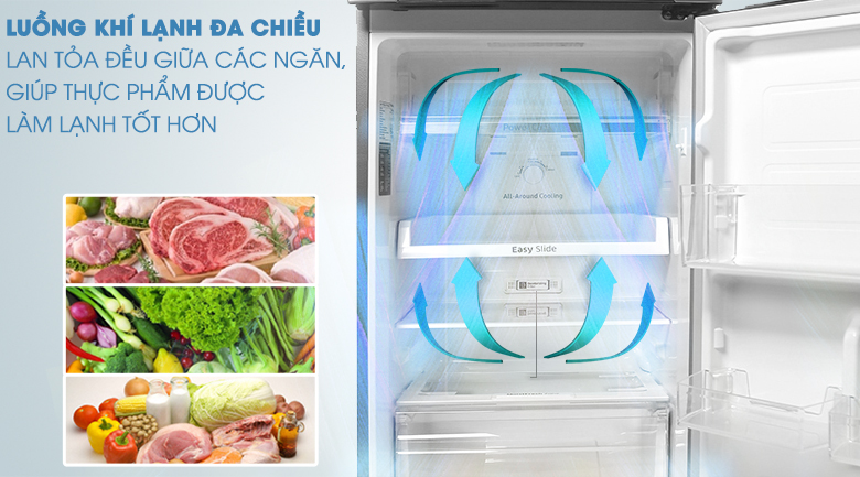 Tủ Lạnh Samsung RT22M4033S8SV 236L