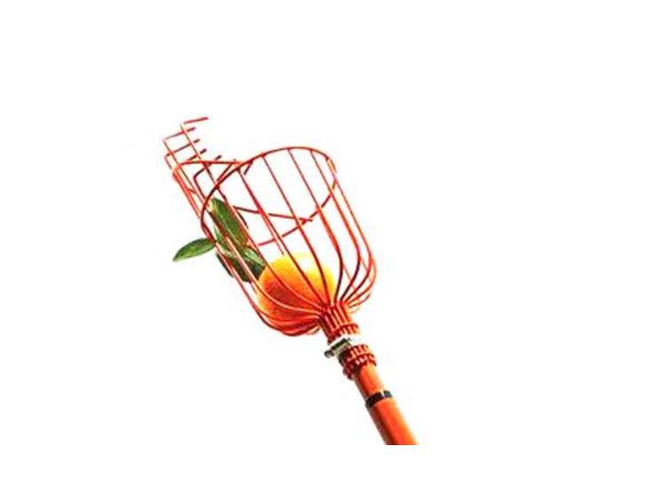 RỔ HÁI TRÁI CÂY HOMEEASY