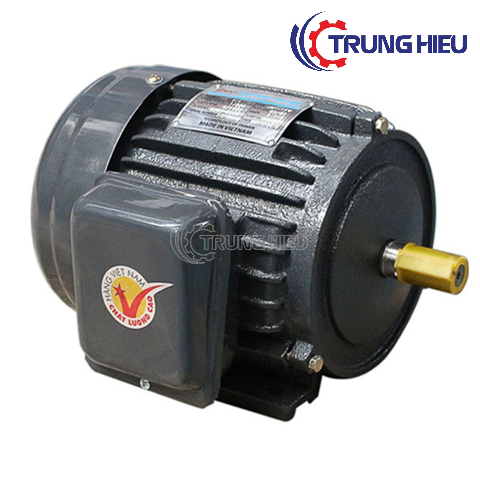 Motor vỏ gang chân đế Hồng Ký HKM314