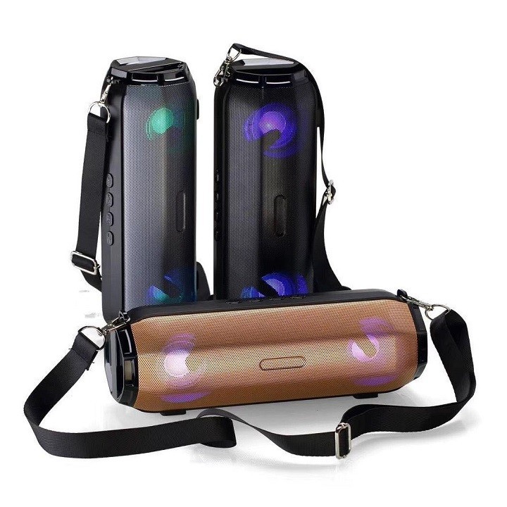 Loa Sony SRS-X33