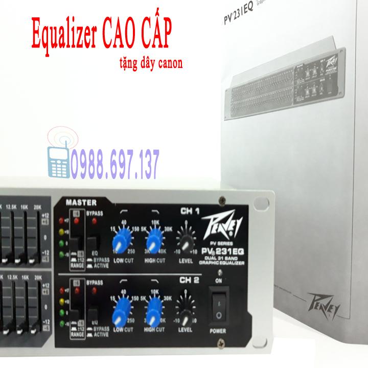 Bộ lọc tiếng Equalizer PEAVEY PV 231EQ