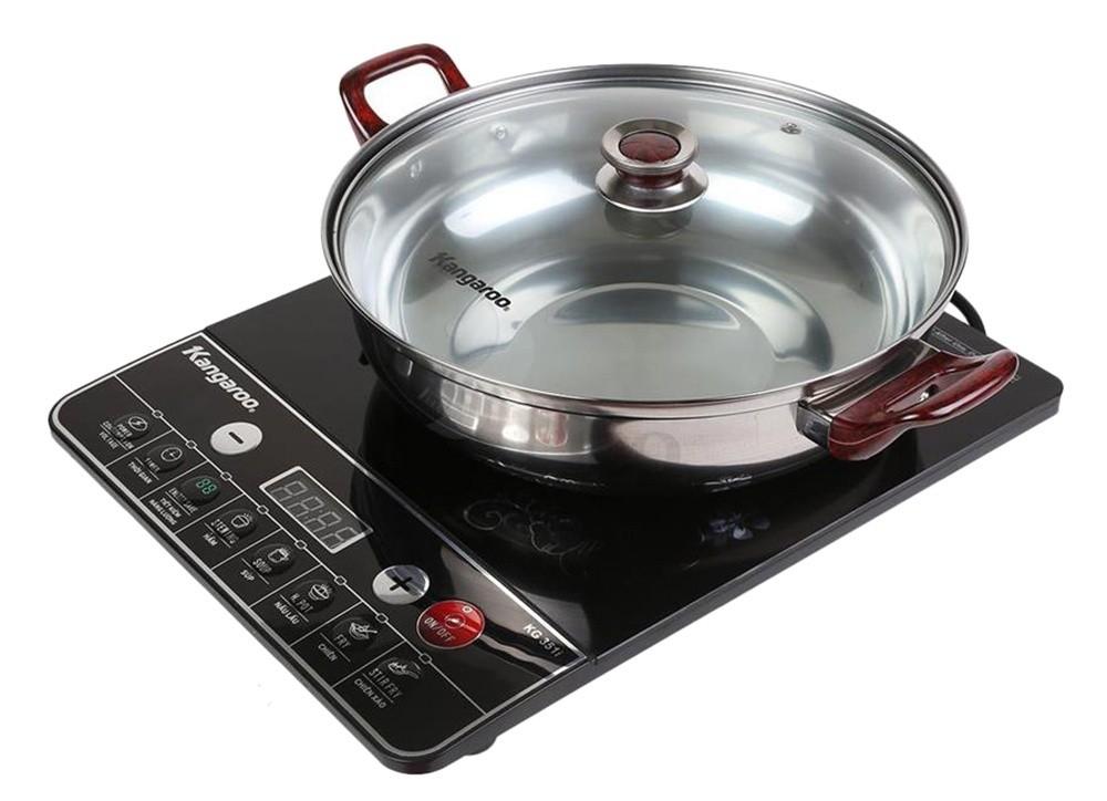 Bếp từ Kangaroo KG351I