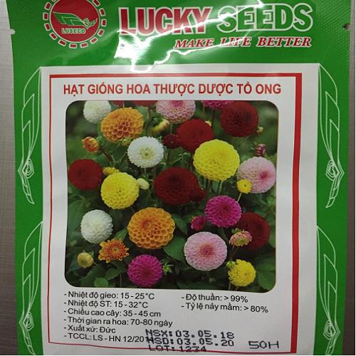 Hạt giống hoa thược dược
