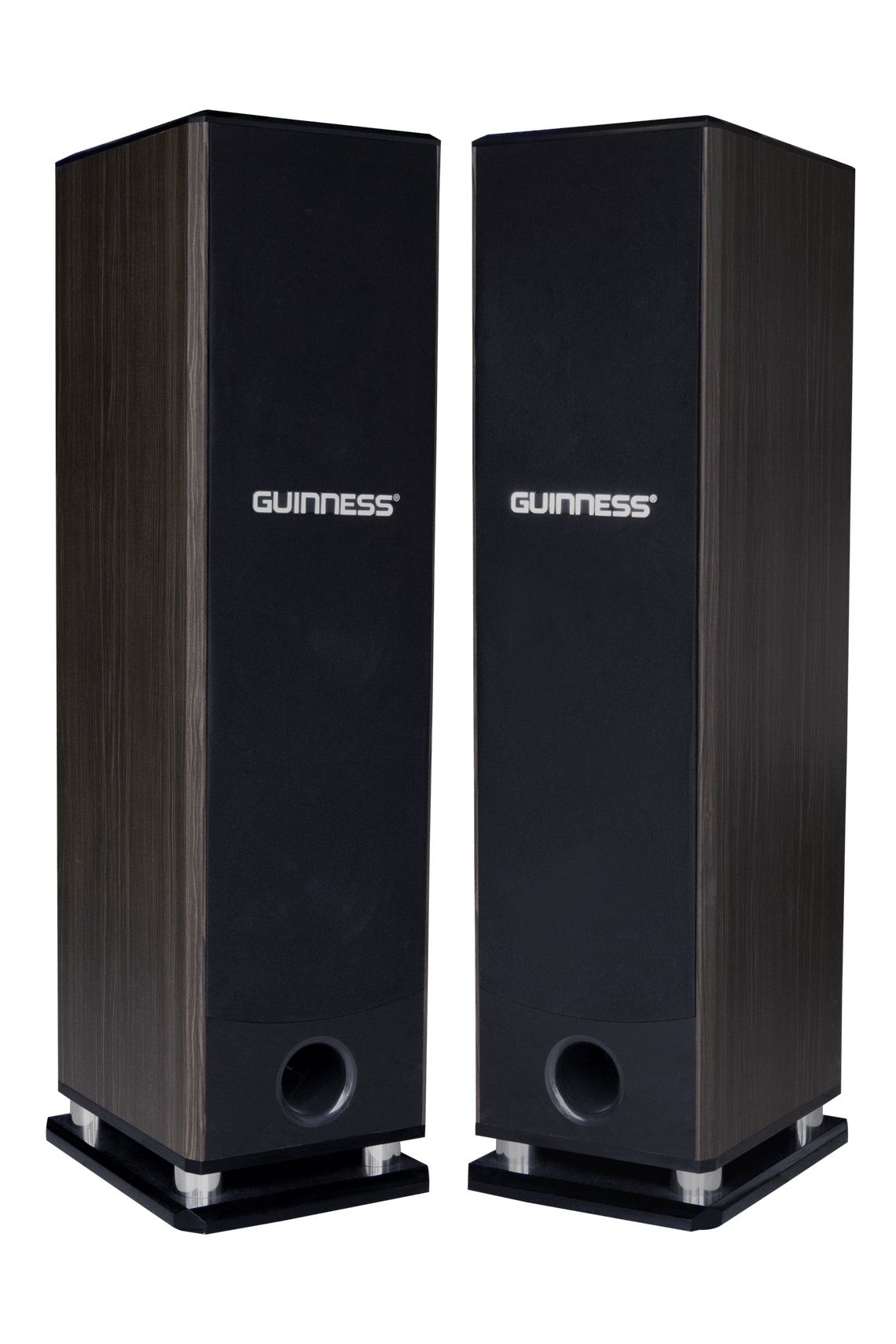 Loa Guinness SS-107