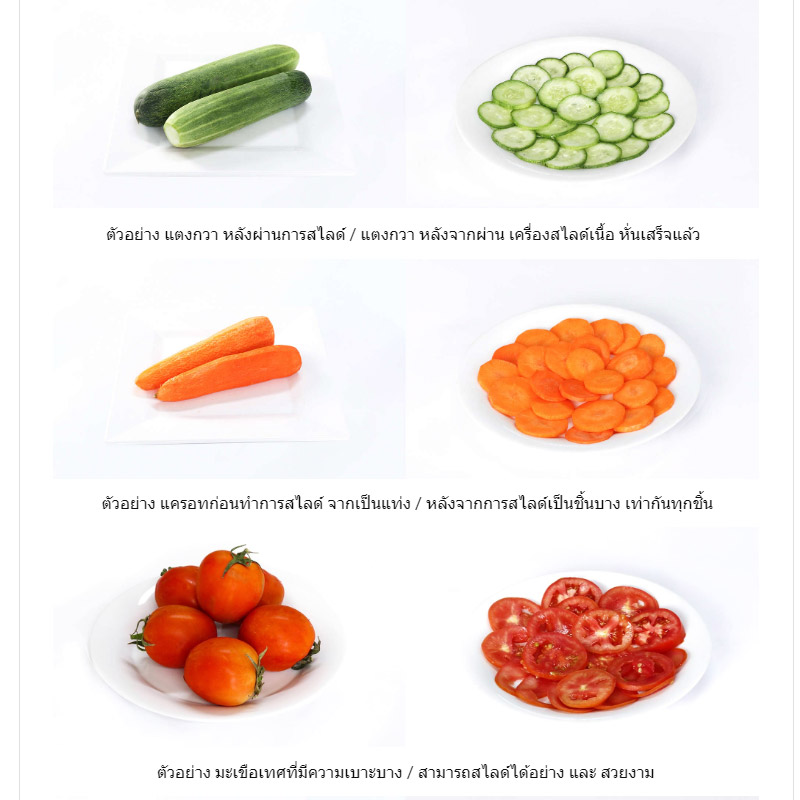 Máy cắt thịt MS6