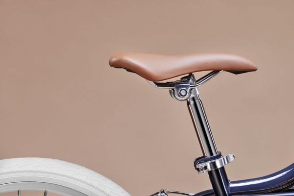 Xe đạp trẻ em Lion Bird 20 inch