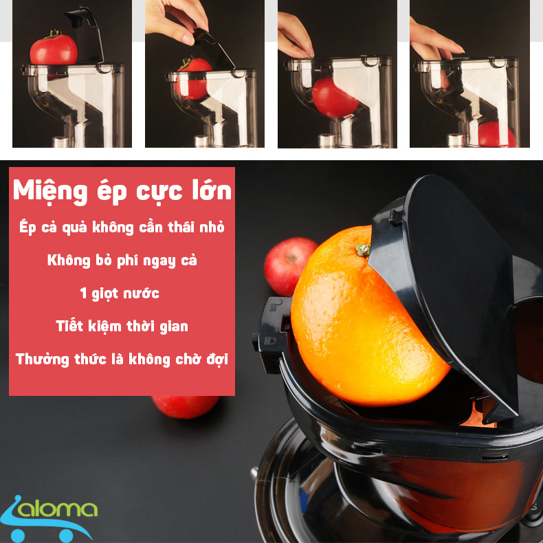 Máy ép chậm Anmir AMR-8821