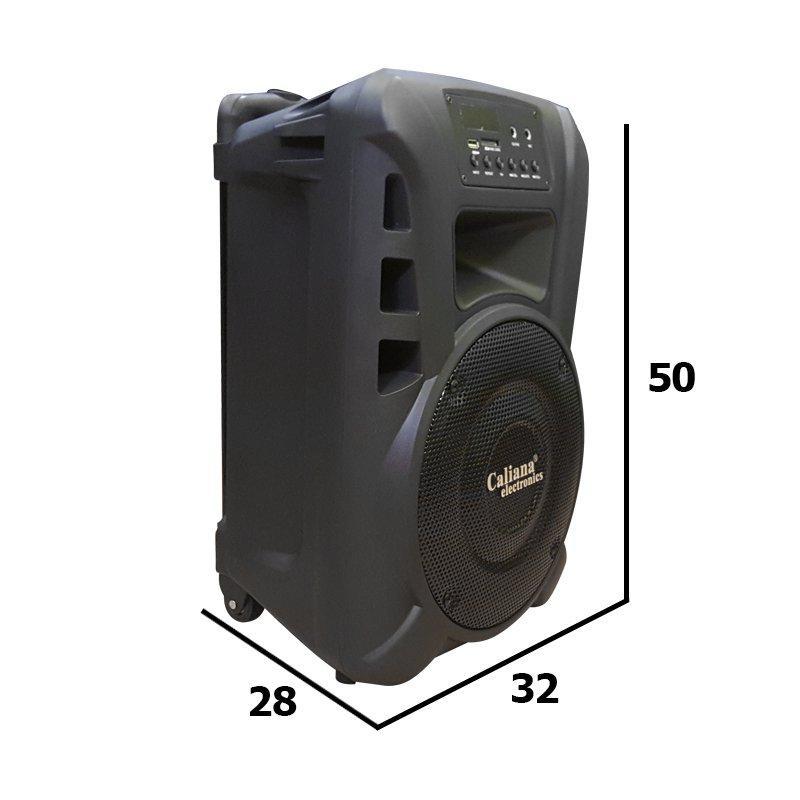Loa kéo Caliana Electronics TN10