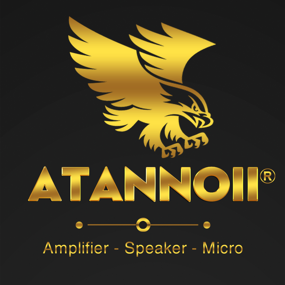 Cục Đẩy Công Suất ATANNOII CA9
