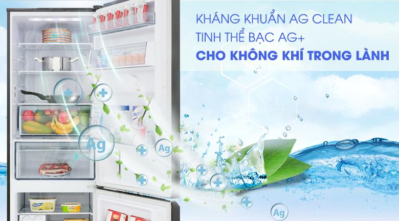 TỦ LẠNH PANASONIC INVERTER NR-BV280GKVN 255 LÍT