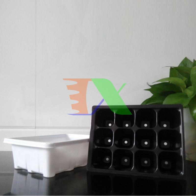 Bộ khay ươm cây, khay ươm hạt, vỉ ươm
