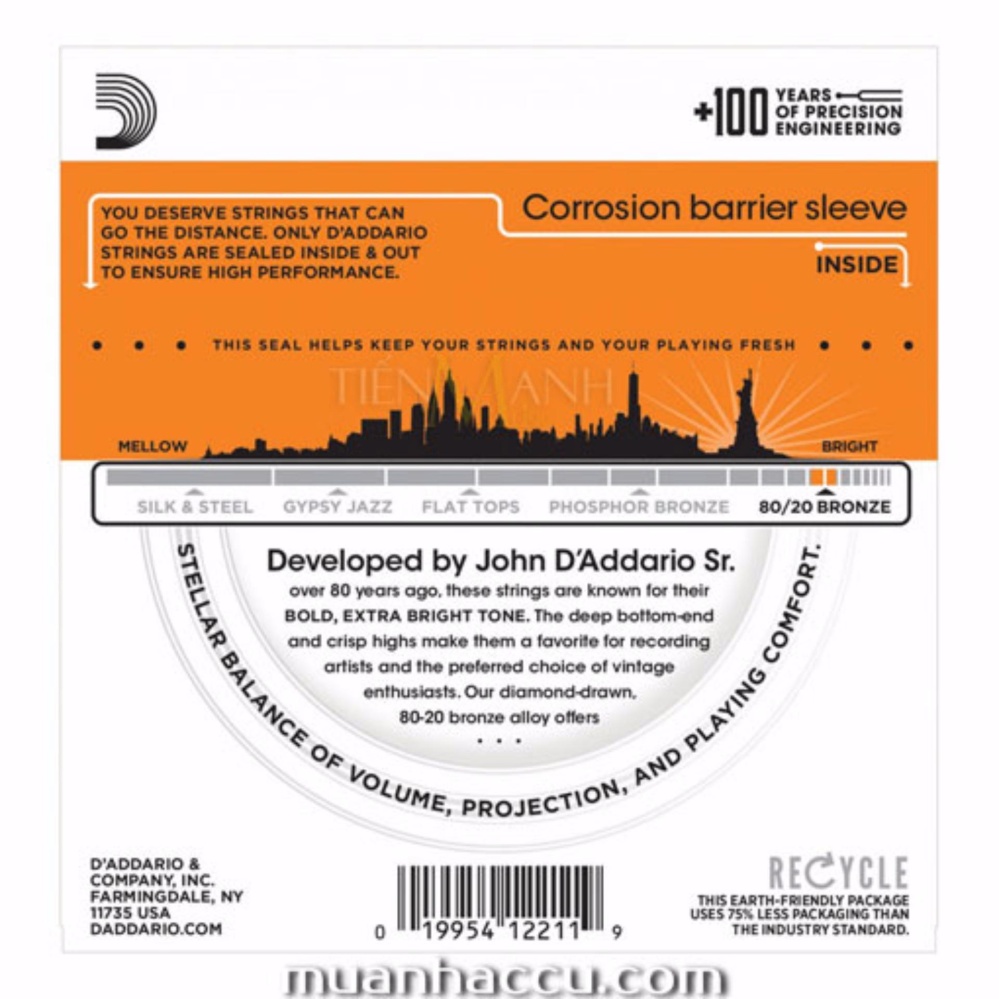 Dây guitar D'Addario EJ10